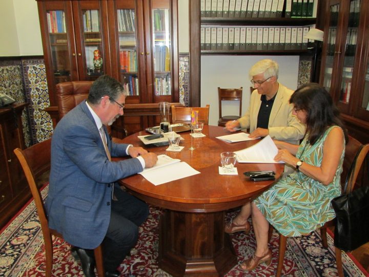 protocolo ipn 16 Custom